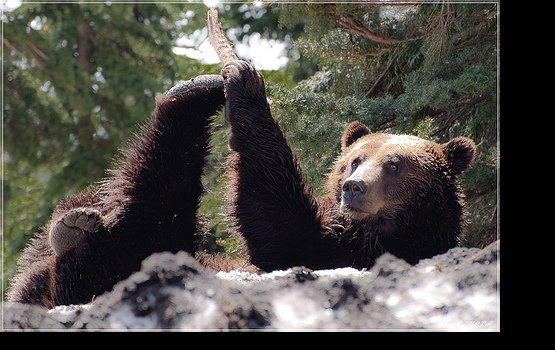 ������ ������� ������������� ���������� ������