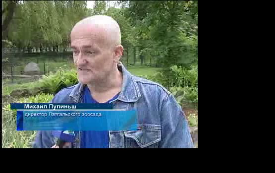 Работу на лето получат ещё 92 школьника (видео)