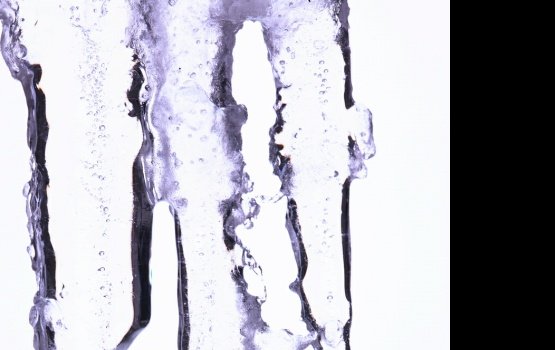 ������� ������� �������� ������� �� ���������