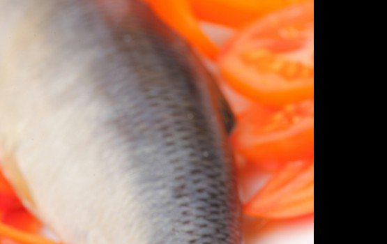 ���������� �������� ������ ����� ���� ������