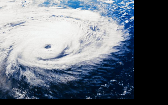 �� ��������� ����������� ������ ��������� ��������