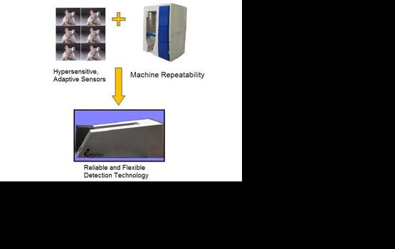 ����� ������� ��������� ����������