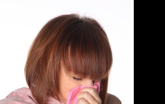 � ������ ����� ���� ����� ��� 15 �������