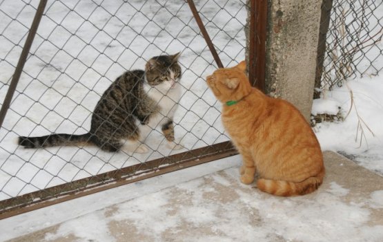 ����� ��� �������� ����� �������� ��� ����