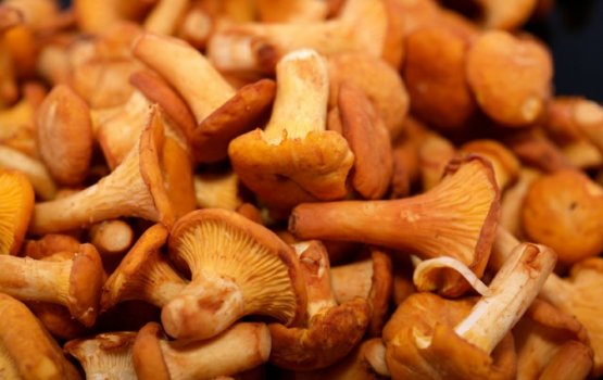 ��������� �������� ������� ������� � ������� � ������� ��������