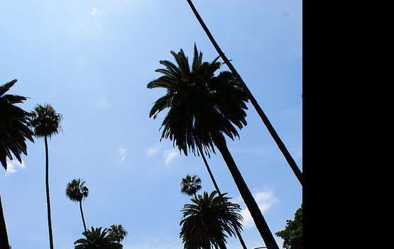 ��������� ���� ������: ���-�������� ����� ��������� � ���� �����