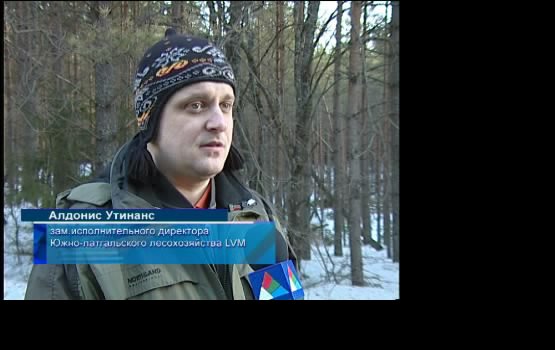 Пробирается лесник, сквозь густой валежник... (видео)