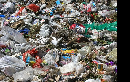 ������ ����������� �������� ��������� �������� �������