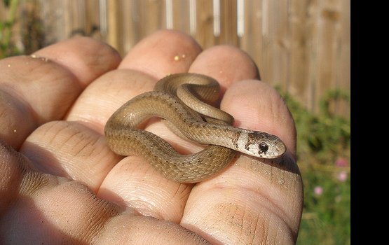 � �������������� ���� ��������������� ������ ���� ����