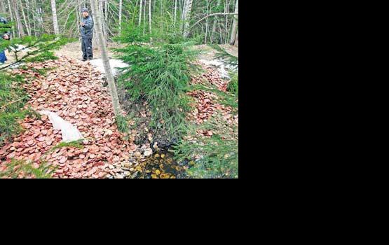 � ��������� ���� ����� ����� �������