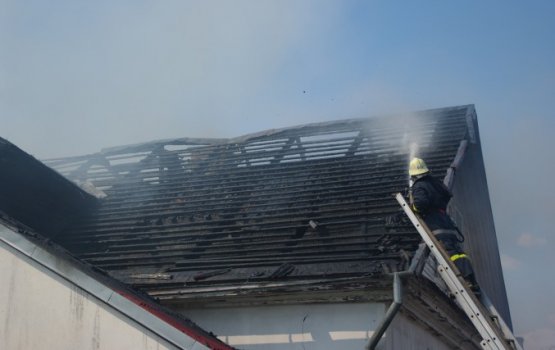 �� ����� �������� ������� ����� ������������ �������� (�����)