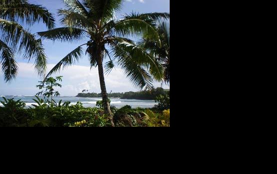 ����� ��������� ���� �� ����� ������