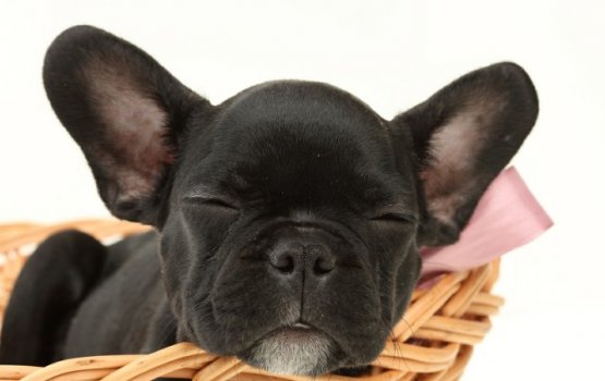 �������� ����� ������� � �� �����