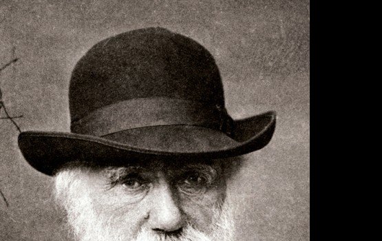 ������ ��������� ������� ������� �������