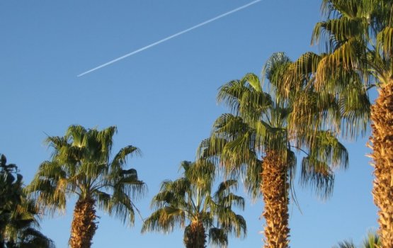 ��� ���������� �� ����������� 500 Ls