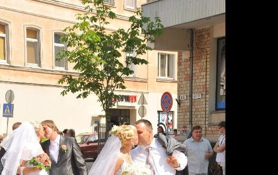 �������� ������: 11 ���� - ���������