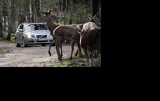 Volvo ������� ���� ������ ��������� ����� ������ � �������