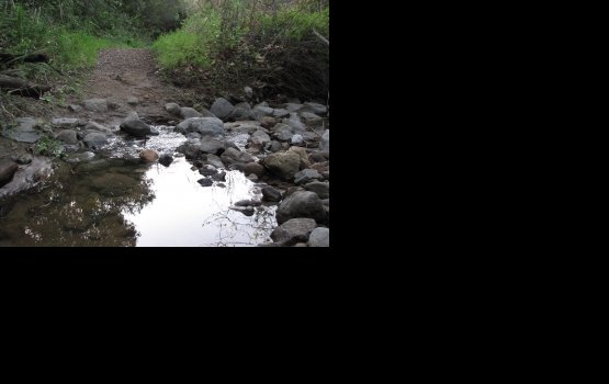 �� � ������: ������������ ���� ������ � �������