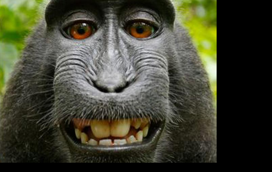 ������ ������ � ����������� ������ � ����� ���� �� ����