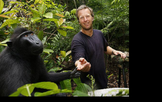 ������ ������ � ����������� ������ � ����� ���� �� ����