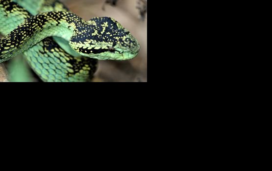 �������� ������ ���� � ������� ������