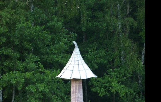 ������ ���-�� ����� ��� ����������� ����� � ��������