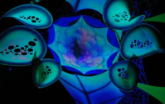 ������ ���-�� ����� ��� ����������� ����� � ��������