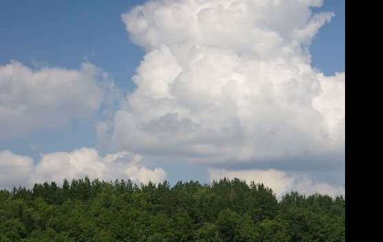 ������ ���-�� ����� ��� ����������� ����� � ��������