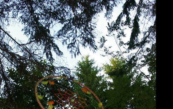 ������ ���-�� ����� ��� ����������� ����� � ��������