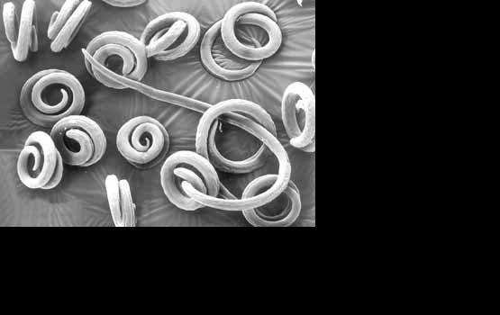 �������: ���������� - ������� � ����������� ������� ��������