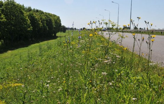 ��-�� �������� ������� ����� ����������� ������ �� �����