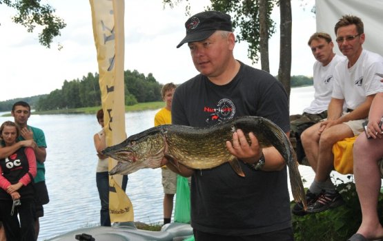 ��������� �������� ������� ���� ��������� (����)