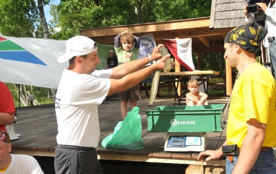 ��������� �������� ������� ���� ��������� (����)