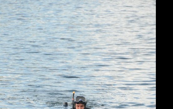 ��������� �������� ������� ���� ��������� (����)