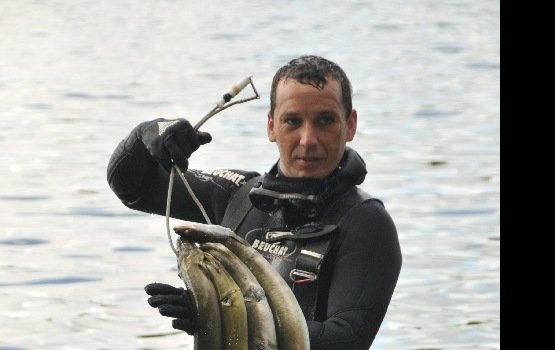 ��������� �������� ������� ���� ��������� (����)