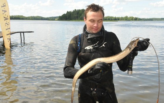 ��������� �������� ������� ���� ��������� (����)