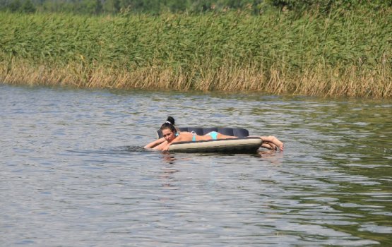 ��������� �������� ������� ���� ��������� (����)