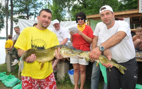 ��������� �������� ������� ���� ��������� (����)