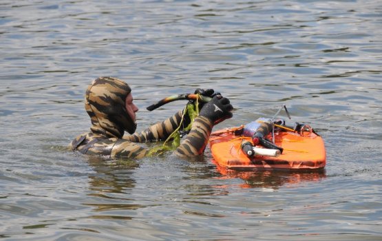 ��������� �������� ������� ���� ��������� (����)