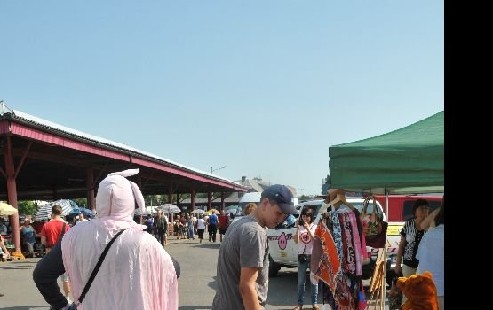 ��� ������ "������ �������" ���������