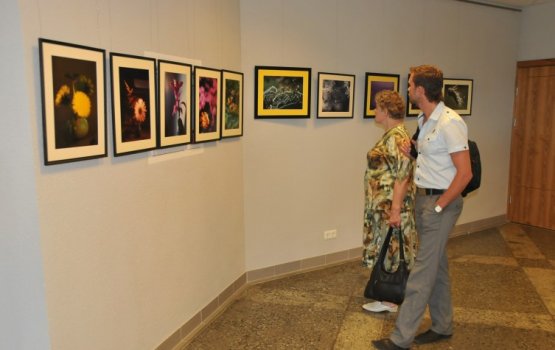 ��������� �������� ������������ ��������� ����� �������