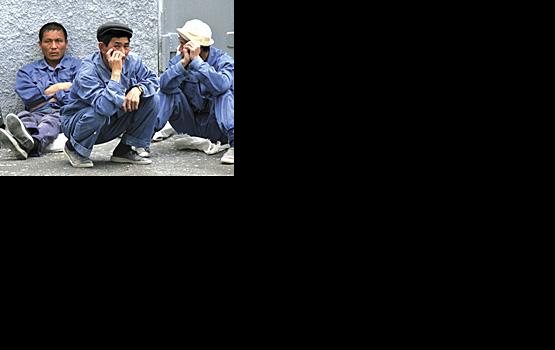 ������ ���� ����� ���������� �����������