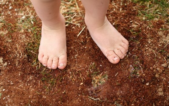 ���� �������� � ������