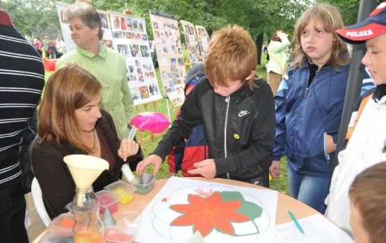 ���������� ���� ������ ������