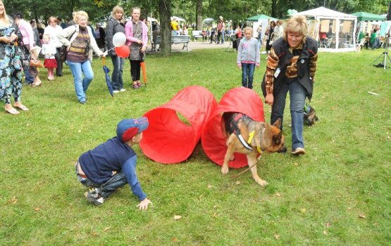 ���������� ���� ������ ������