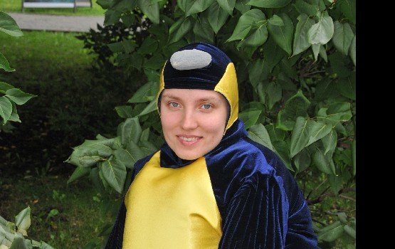 ���������� ���� ������ ������