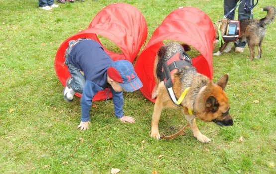 ���������� ���� ������ ������