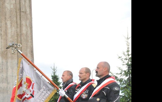 � ����������� ������� ���������� ���� ������������� (����)