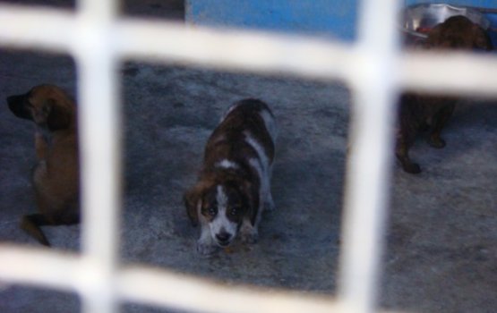 ����� �������: "������ ������������� �� ������ �� ������ � 5 �����"