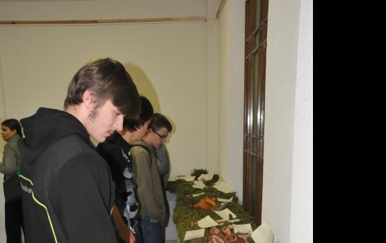 "�� ������, ��� �� ���� - �� ������" (����)